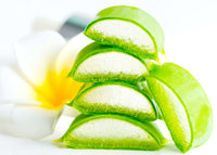 ALOE_5bd6f9a3-cb52-4e61-ba3f-4d9efab06b17