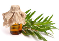 tea_tree_oil